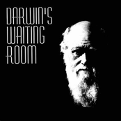Darwin's Waiting Room