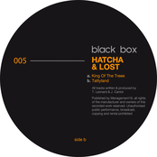 King Of The Trees / Tattyland (BLACKBOX005)