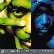 Check Yourself by Dynamic Twins