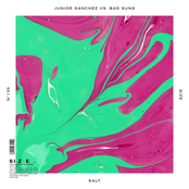 Salt (Junior Sanchez Vs. Bad Suns) - Single