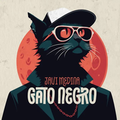Gato Negro