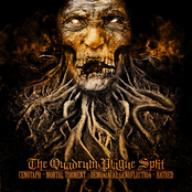 The Quadrum Plague Split