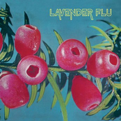 The Lavender Flu: Mow the Glass