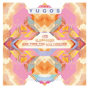 Life Is Awesome and Then You Live Forever