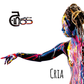 Cria