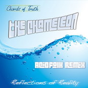 Reflections of Reality (The Chameleon Acidfolk Remix)