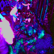 Oozing Pus / Human Pancake