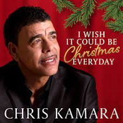 I Wish It Could Be Christmas Everyday