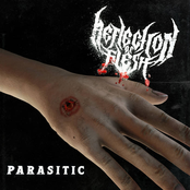 Reflection of Flesh: Parasitic