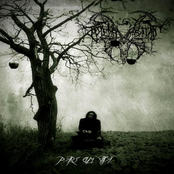 Depressives Posesions