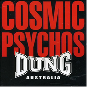 20 Pot Screamer by Cosmic Psychos