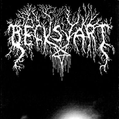 Att Omfamnas Av Mörkret