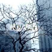 Icy Girl (Single)