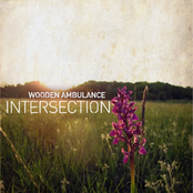 New Love by Wooden Ambulance