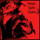 Head Split Open
