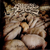 In a Society of Pigs