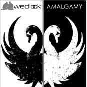 Amalgamy