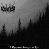 I Djupaste Skogen av Hat