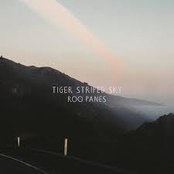 Roo Panes: Tiger Striped Sky