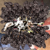 i'llstayinbedAndI'll #BleedForever