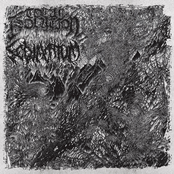 Total Isolation / Sedimentum