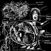 Emphasis On Half-Digested Matter's Movement In Copremesis