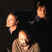 frank gambale, stuart hamm, steve smith