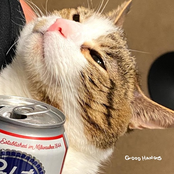 Good Hangs: I Only Do Pushups When I'm Drunk (Drinking Lonely)