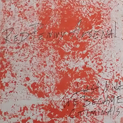 Last Night We Became Criminals