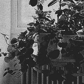 A Death At The Steelworks