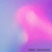 Shame / Dogs at Night