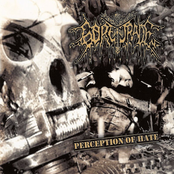 Perception Of Hate by Goretrade