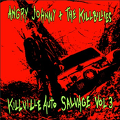 Hey Darwin by Angry Johnny And The Killbillies