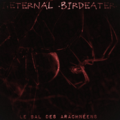 Le Bal Des Arachnéens