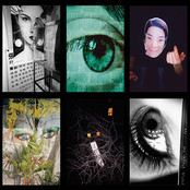 Water Palace Kingdom