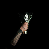 Zauntee: We Already Won