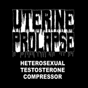 Heterosexual Testosterone Compressor (CBT cover)
