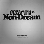 Chris Forsyth: Dreaming in the Non-Dream (Edit)