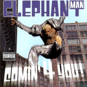 Elephant Man - Elephant Man - You A Di Wife (School Bell Riddim) (Intro)(www.deejaykilow.blogspot.com)