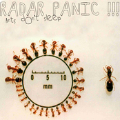Ants Don't Sleep