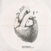 We don't like love songs (2011)