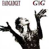 The Ring by Fad Gadget