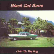 Gangster Of Love by Black Cat Bone
