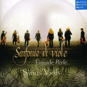 Sinfonie di Viole - Liquide Perle