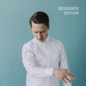 Ostium