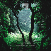 Polyphony of Сolors