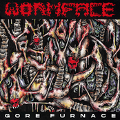 Gore Furnace