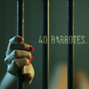 40 Barrotes