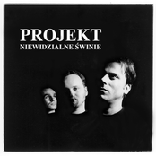 Projekt Niewidzialne Swinie