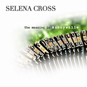 The Meaning In Sunnyville